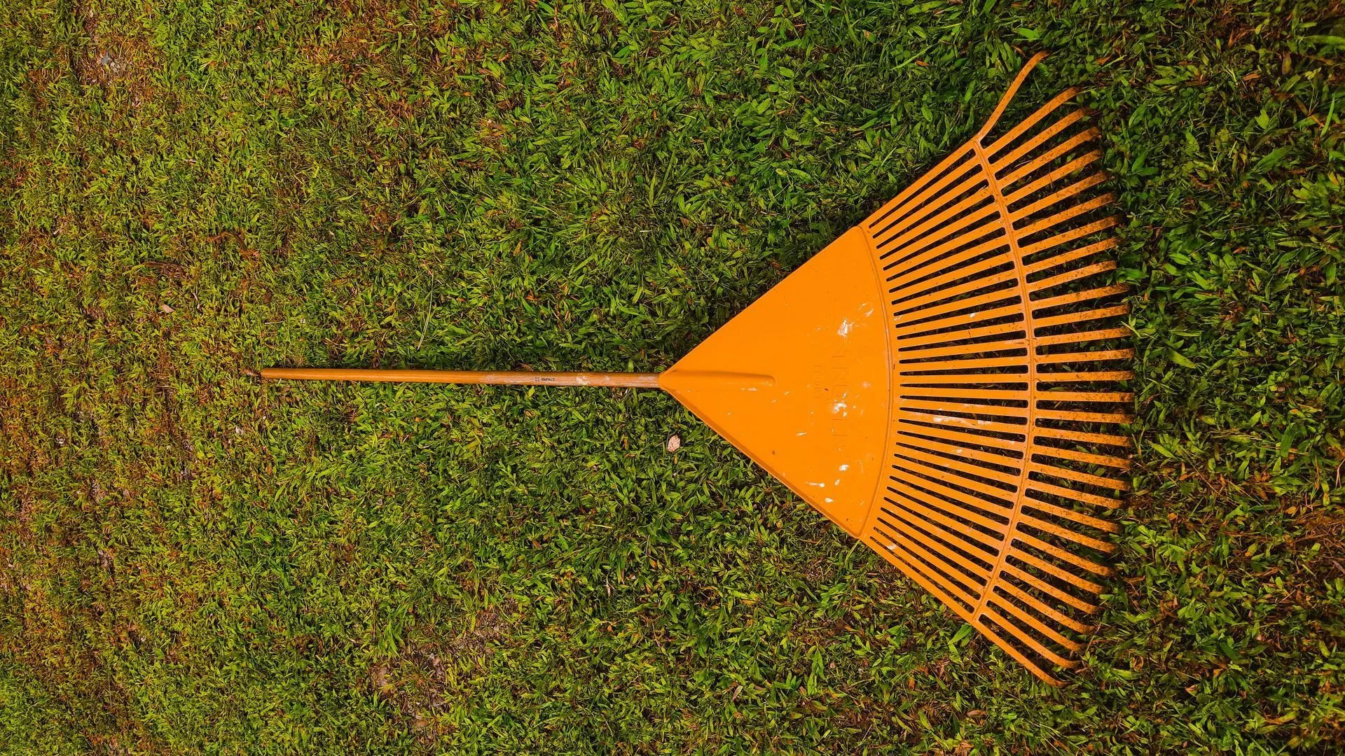 leaf removal service