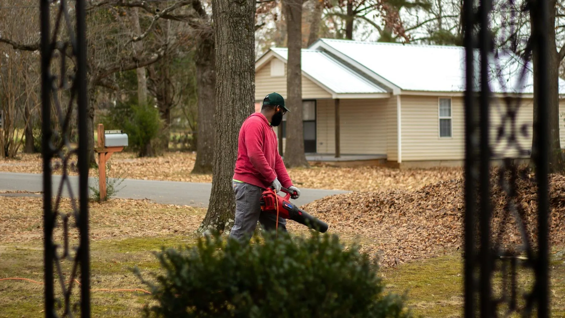 leaf removal service